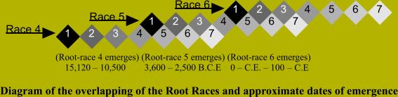 Rootraces 4-5-6