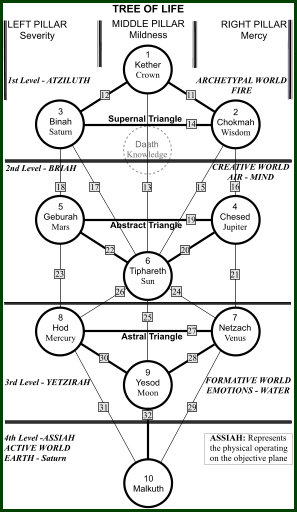 Tree of Life diagram