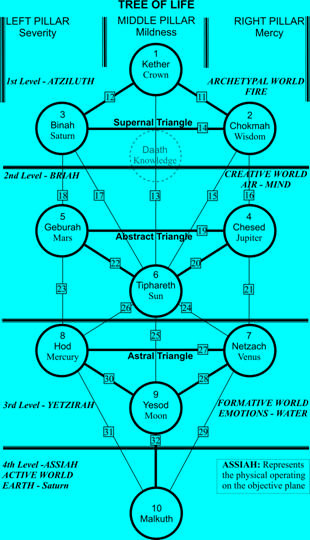 Tree of Life Diagram