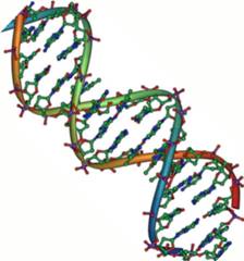DNA Spiral depiction